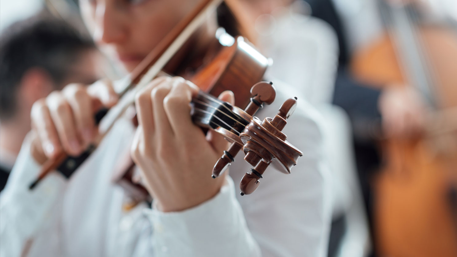 Buy Online Violin Insurance through Clarion Associates Inc